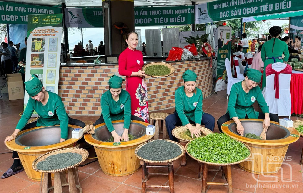 cơ sở sản xuất trà kim thúy