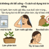 5 Cách Sử Dụng Trà Trong Đời Sống Hằng Ngày
