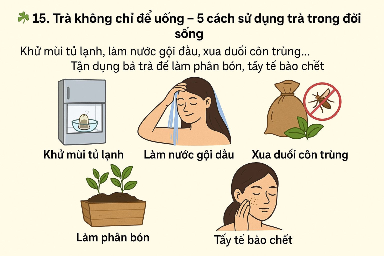 5 Cách Sử Dụng Trà Trong Đời Sống Hằng Ngày