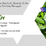 Banner Hội chợ thương mại Bán lẻ Nâu Vàng nhạt Phong cách Ấm áp Hữu cơ