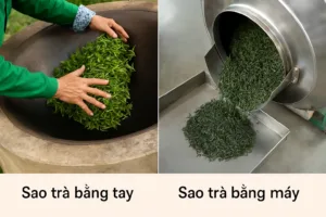 Sự khác biệt giữa sao trà bằng tay và bằng máy