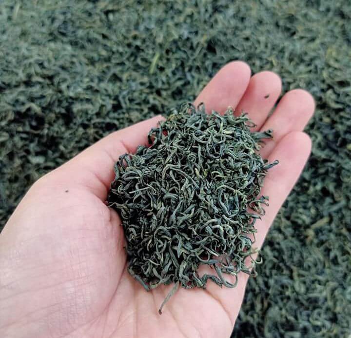Trà Móc Câu Thái Nguyên Danh Trà Trứ Danh Đất Việt