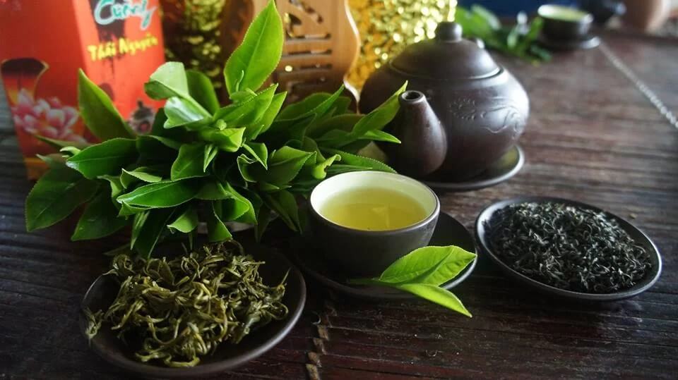 Trà Tân Cương là gì Nguồn gốc và lý do nên thử 1 lần