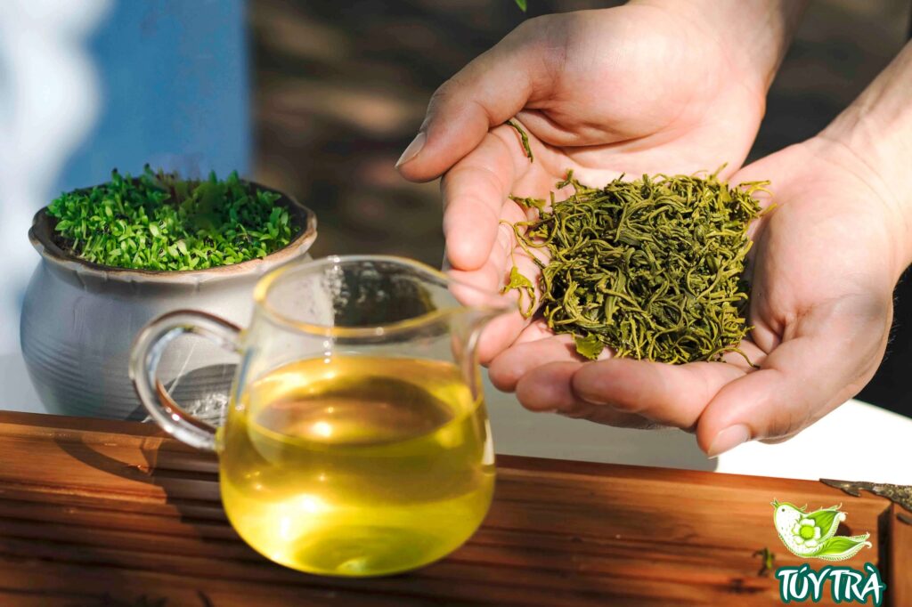 Trà Tân Cương Đệ nhất trà xanh Việt Nam Hương vị nguồn gốc cách chọn loại chuẩn Mua Trà Tân Cương Thái Nguyên | Trà Kim Thúy Chính Gốc Mua Trà Tân Cương Thái Nguyên | Trà Kim Thúy Chính Gốc Trà Tân Cương Đệ nhất trà xanh Việt Nam Hương vị nguồn gốc cách chọn loại chuẩn