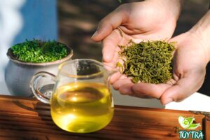 Trà Tân Cương Đệ nhất trà xanh Việt Nam Hương vị nguồn gốc cách chọn loại chuẩn