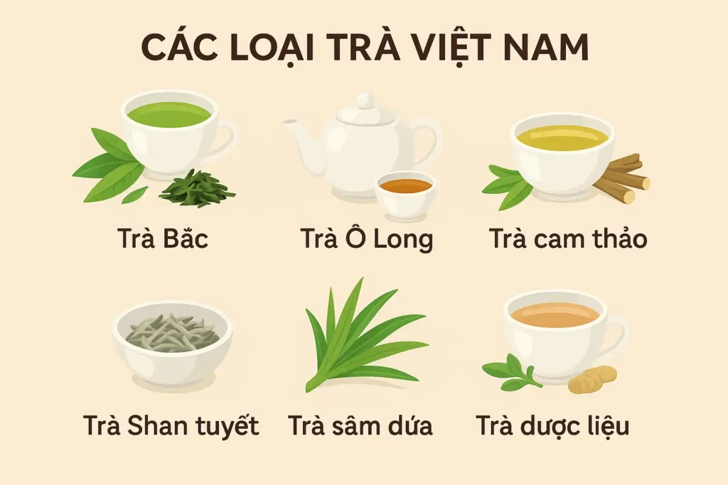 Trà-Việt-Nam-có-bao-nhiêu-loại-Phân-loại-trà-theo-vùng-miền-và-phương-pháp-chế-biến-2