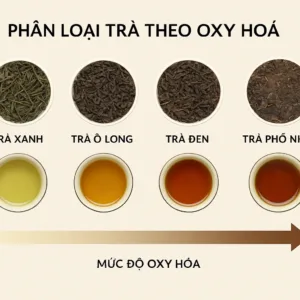 Trà lên men và trà không lên men Phân loại theo quá trình chế biến
