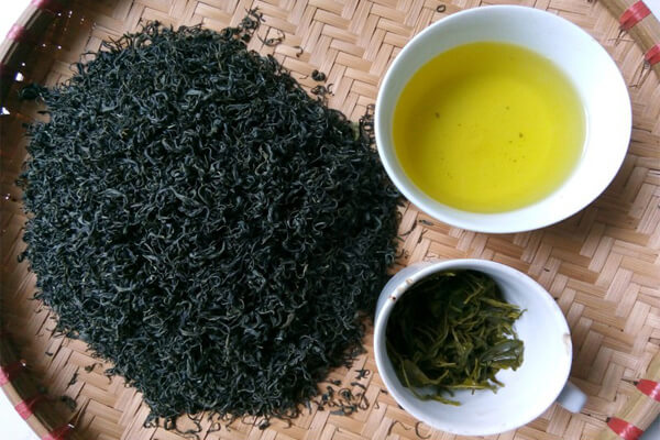 tratomnon Mua Trà Tân Cương Thái Nguyên | Trà Kim Thúy Chính Gốc Mua Trà Tân Cương Thái Nguyên | Trà Kim Thúy Chính Gốc tra tom non
