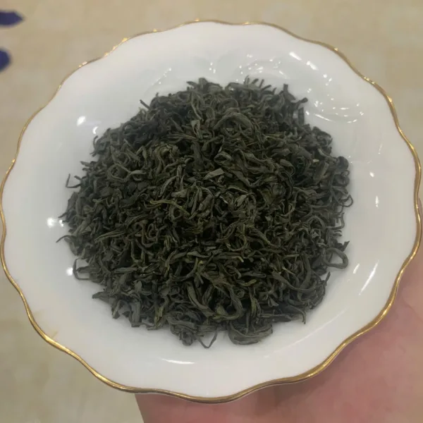 TRÀ BẮC HOA SÓI